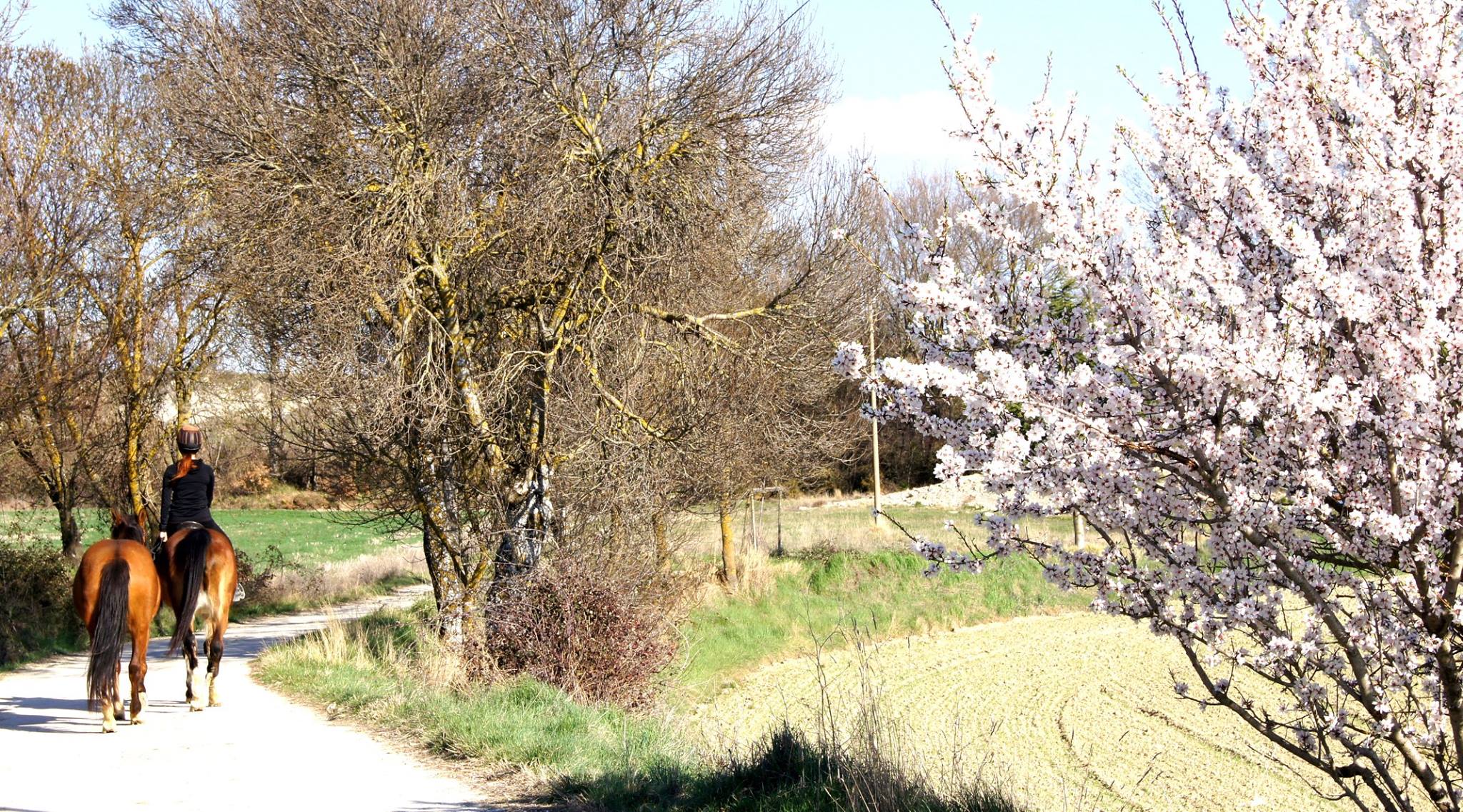 Ya es primavera en Jaca y Pirineos