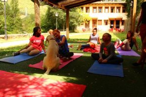 yoga campamentos hipicos Pirineo ecuestre