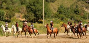 campamentos de equitacion para niños