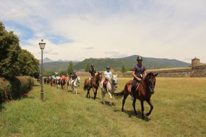 campamentos caballos jaca