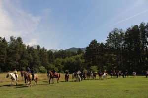 campamentos-de-verano-equitacion