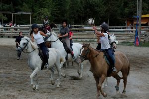 campamentos equitacion verano