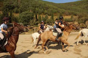 horseball-campamentos-verano