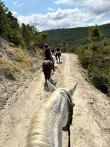 Paseos a caballo por el Pirineo